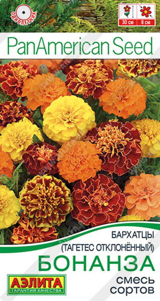 Dwarf French marigolds “Bonanza mix”